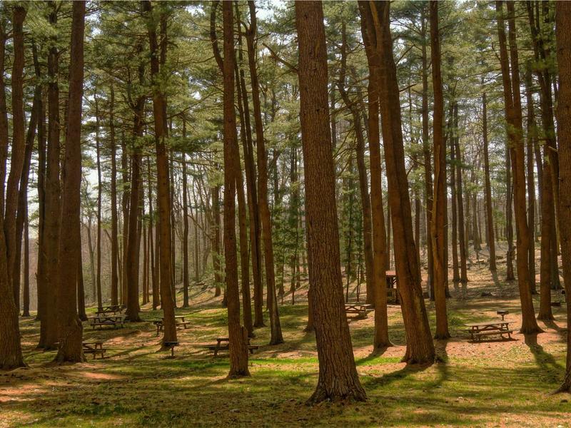 sudoku strategy guide screenshot 5