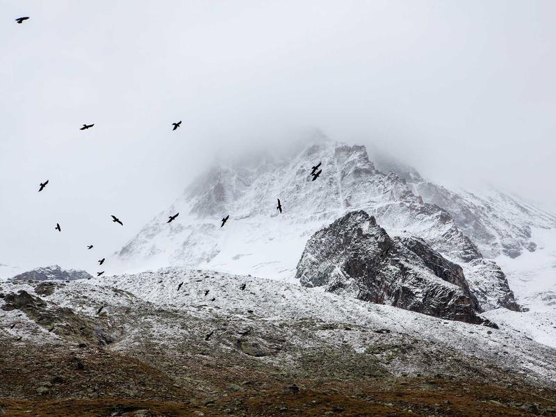 sudoku strategy guide screenshot 3